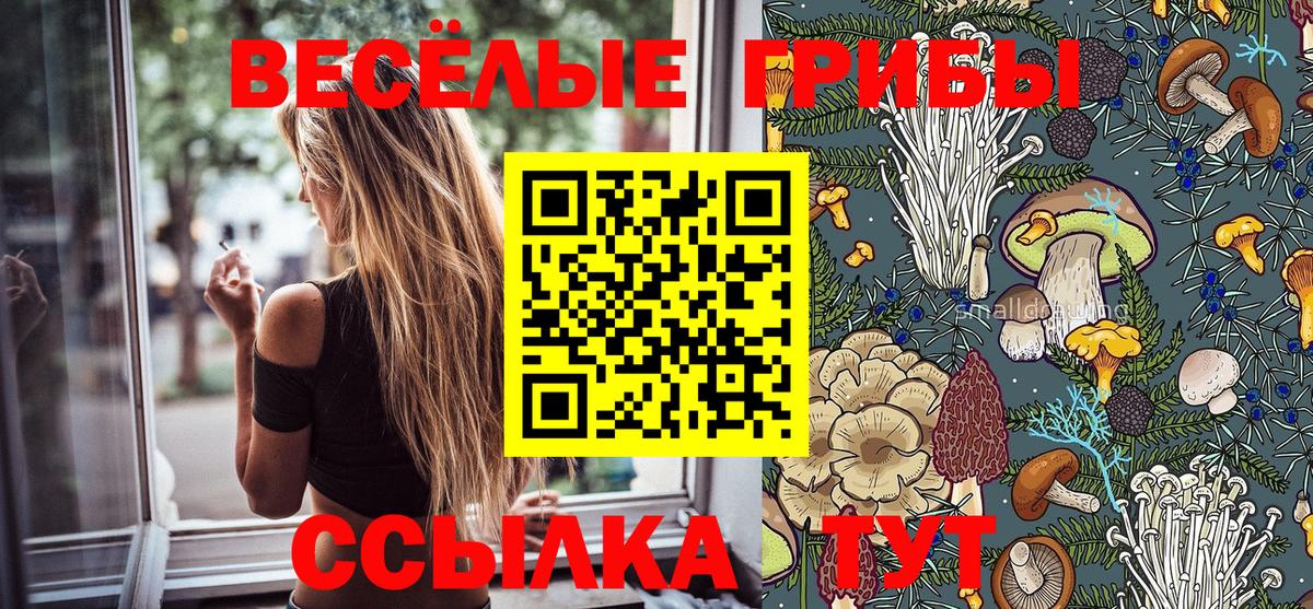Химки  Псилоцибиновые грибы Magic Shrooms  Вход с VPN 