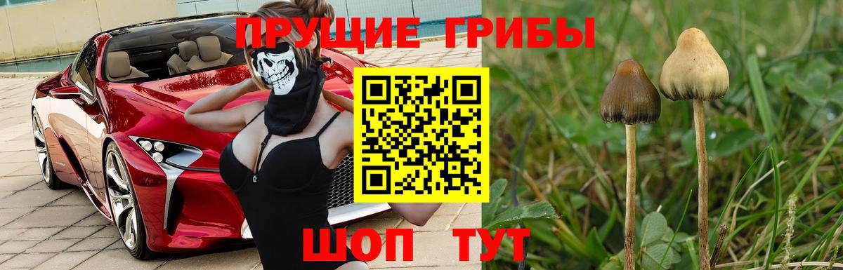 Мефедрон   Кокаин  Каннабис  Метадон  Химки  MDMA  Амфетамин   ТГК  Гашиш  Лсд 25  ГАШ  Вход с VPN  APVP СОЛЬ кристаллы 